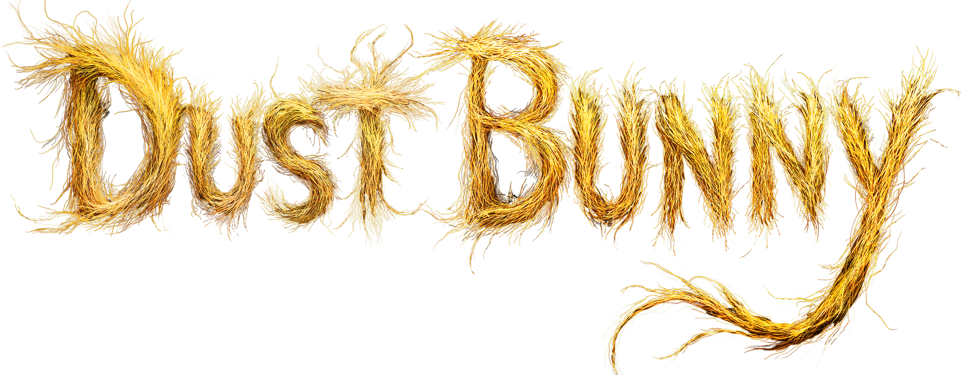 Dust Bunny