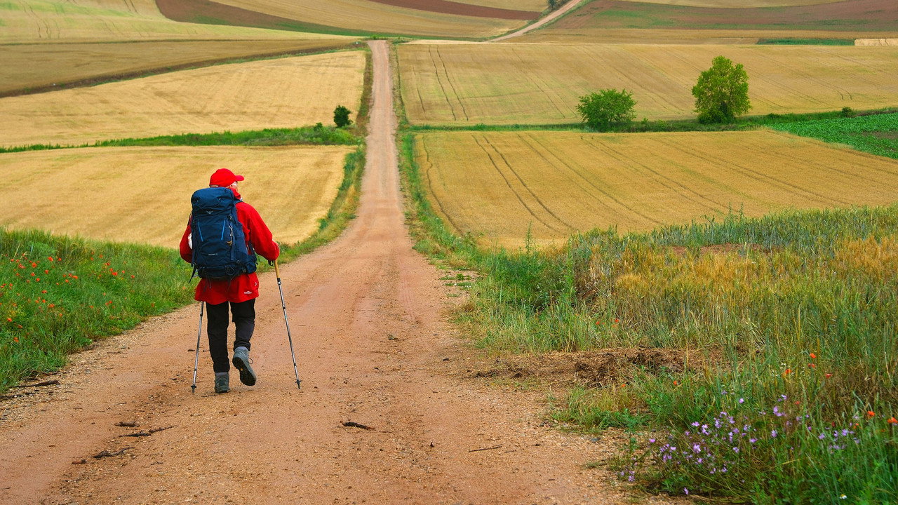 The Way, My Way