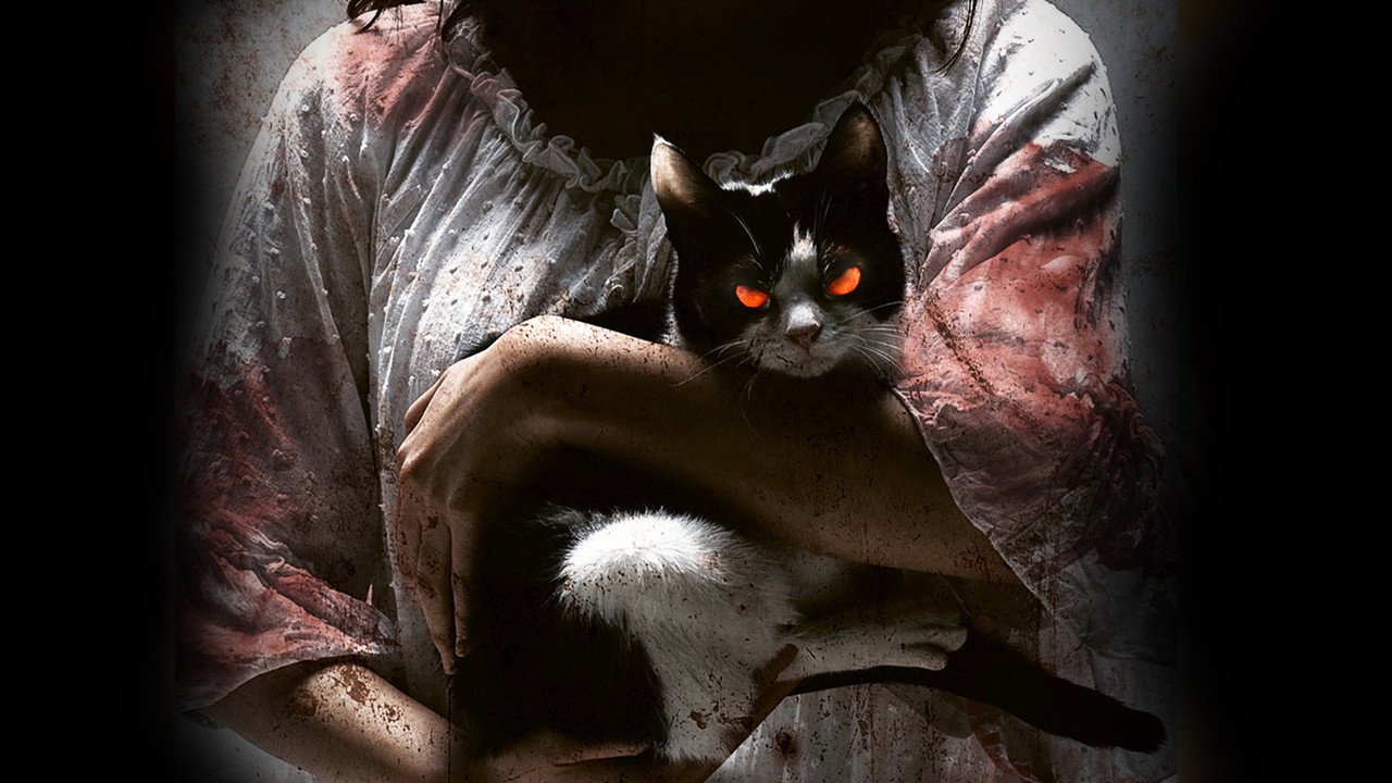 The Cat